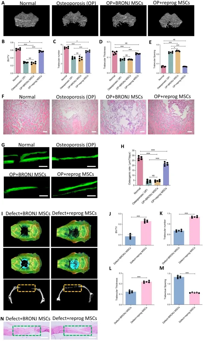 铁死亡服务 铁死亡服务