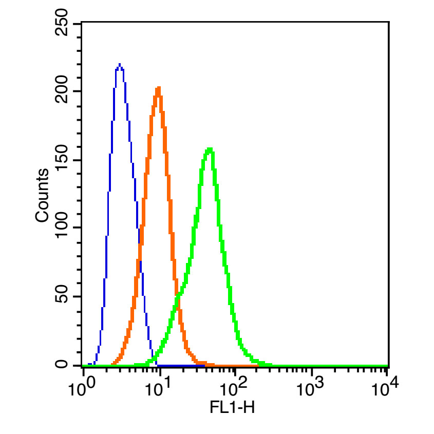 CD32 Rabbit pAb, FITC conjugat
