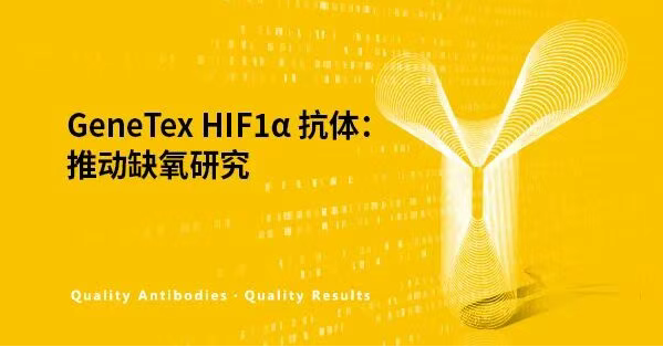 推动缺氧研究.png