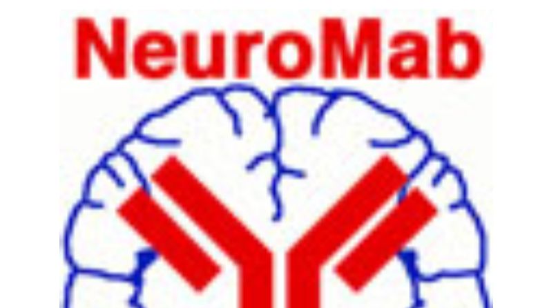NeuroMab PSD-95抗体（K28/43）-检测PSD-95蛋白表达