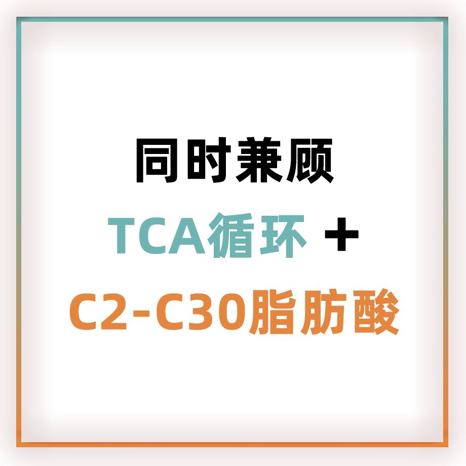 TCA+全面脂肪酸