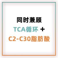 TCA+全面脂肪酸
