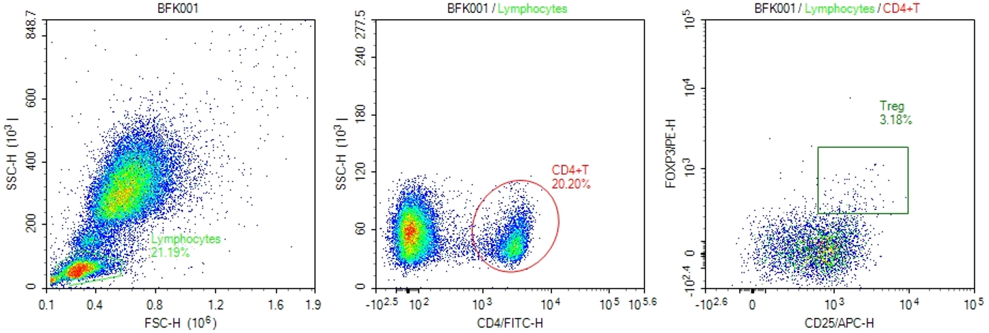 Human Treg Flow Kit (FOXP3 PE/