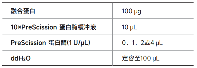 JW102 PreScission 蛋白酶