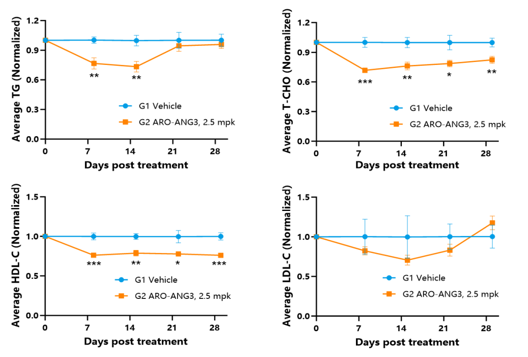 解锁小核酸药物靶点：开启精准医疗新蓝海