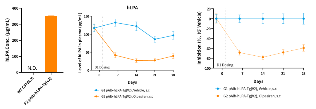 解锁小核酸药物靶点：开启精准医疗新蓝海