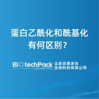 蛋白乙酰化和酰基化有何区别？