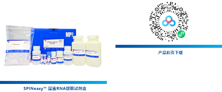 新品上市| MP Bio尿液样本解决方案：从稳定采集到高效核酸提取