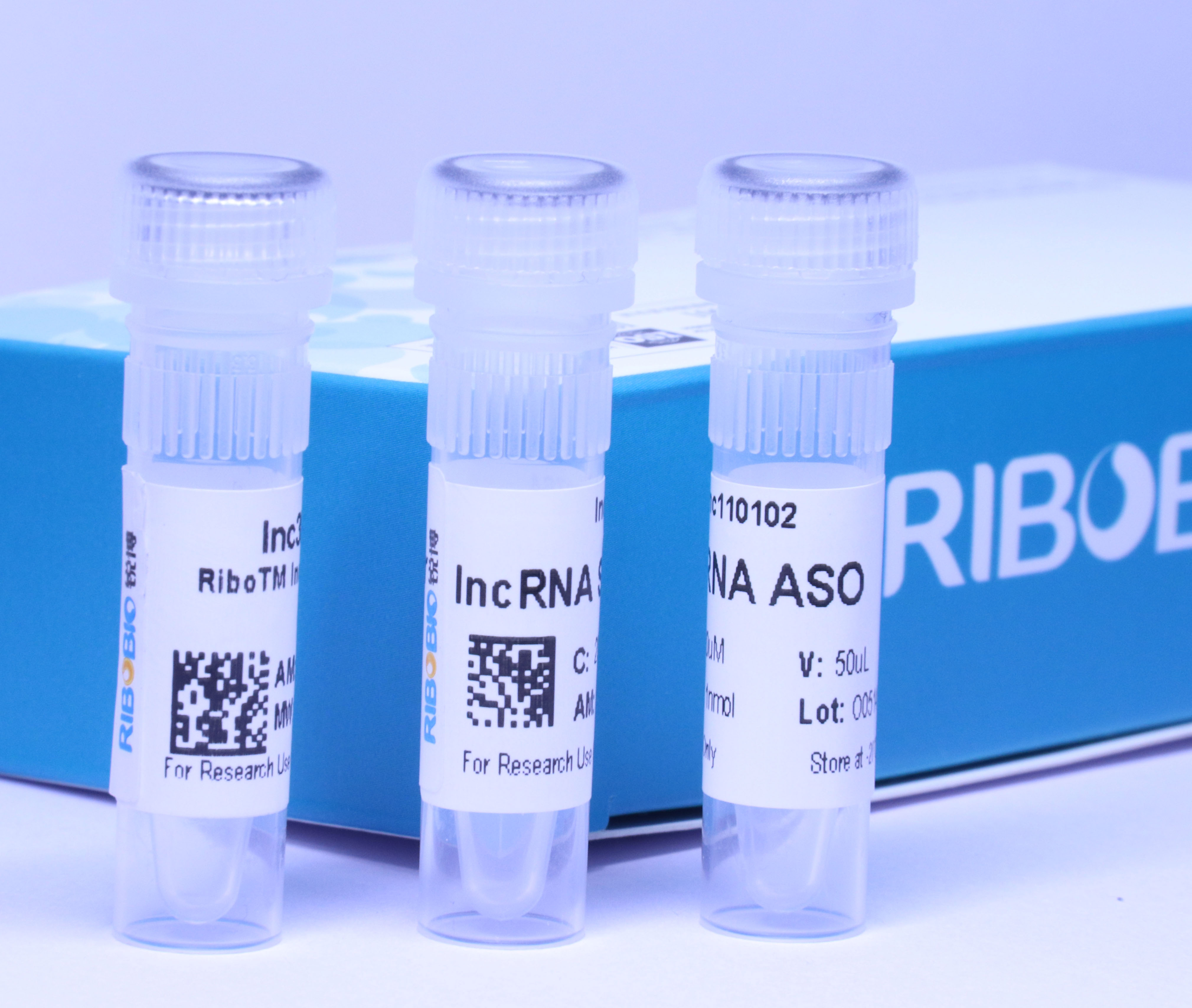 研途有锐丨2025年10月客户SCI文献汇总 (10.6-10.12)