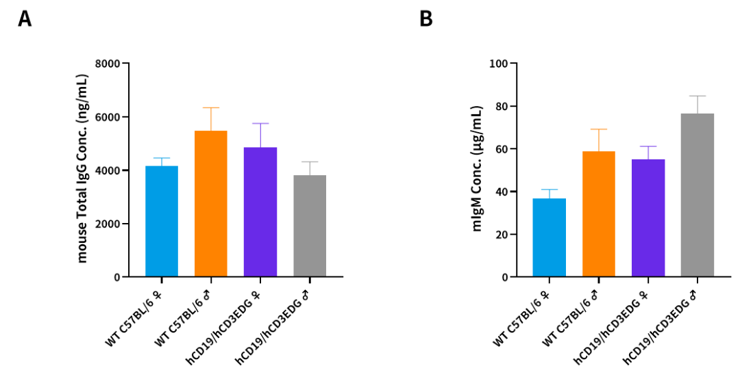 CD3/CD19自免双抗研发，这些关键小鼠模型少不了