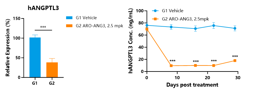 解锁小核酸药物靶点：开启精准医疗新蓝海