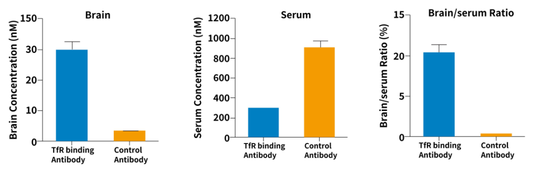 解锁小核酸药物靶点：开启精准医疗新蓝海