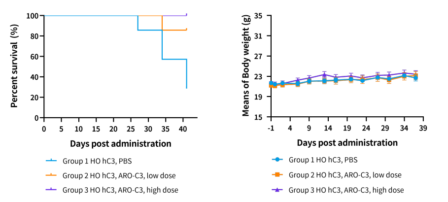 解锁小核酸药物靶点：开启精准医疗新蓝海