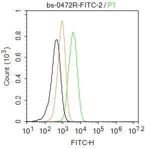 GLUT1 Rabbit pAb, FITC conjuga