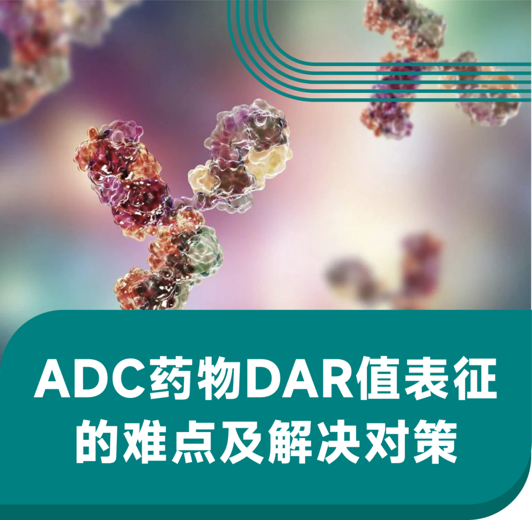 ADC药物DAR值表征的难点及解决对策