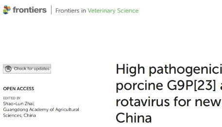 新生仔猪“杀手”来袭！中国团队首次揭示G9P[23]与G11P[7]猪轮状病毒高致病力