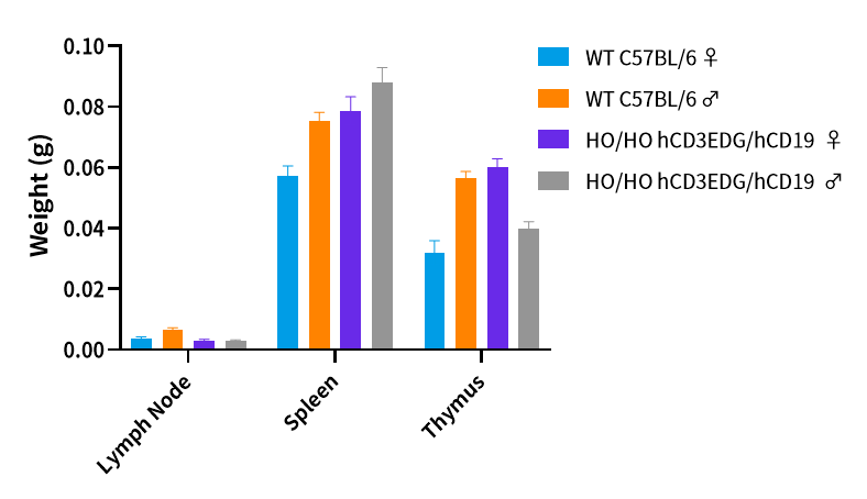 CD3/CD19自免双抗研发，这些关键小鼠模型少不了