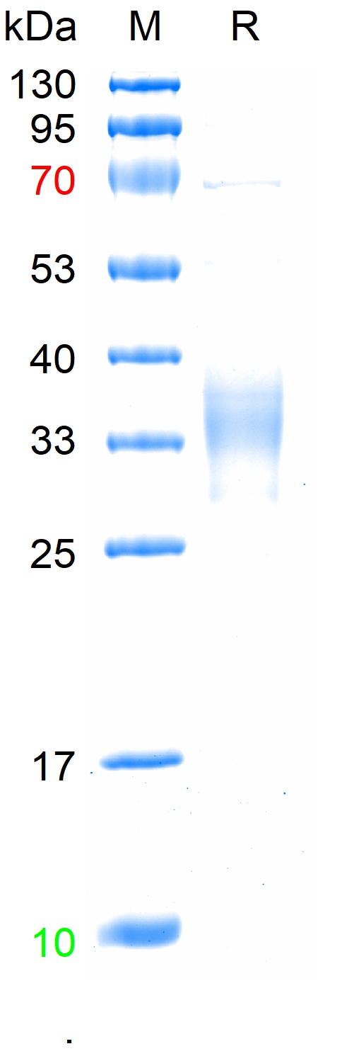 产品细节图片1