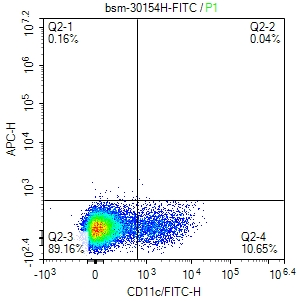 mouse CD11c Hamster mAb, FITC