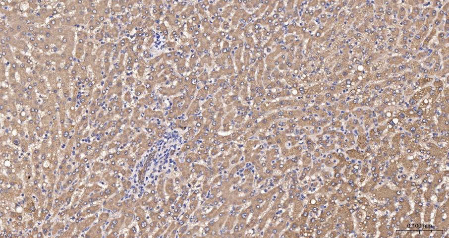 产品细节图片13