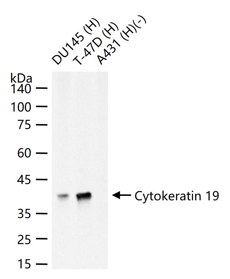 产品细节图片13