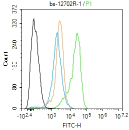 phospho-DNM1L (Ser616) Rabbit