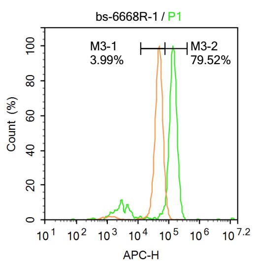 HOXB5 Rabbit pAb(bs-6668R)-50u