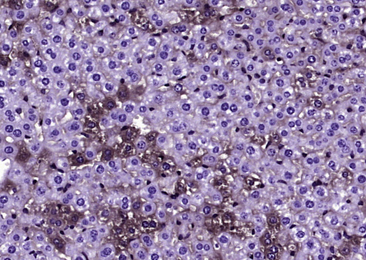 产品细节图片11