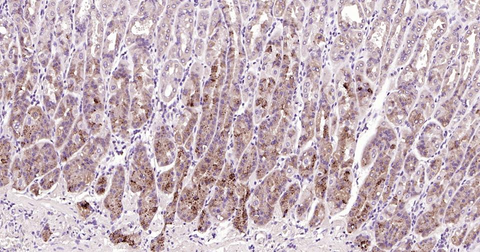 产品细节图片11
