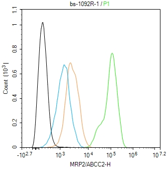 MRP2/ABCC2 Rabbit pAb(bs-1092R