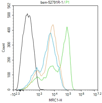 MRC1 Recombinant Rabbit mAb(bs