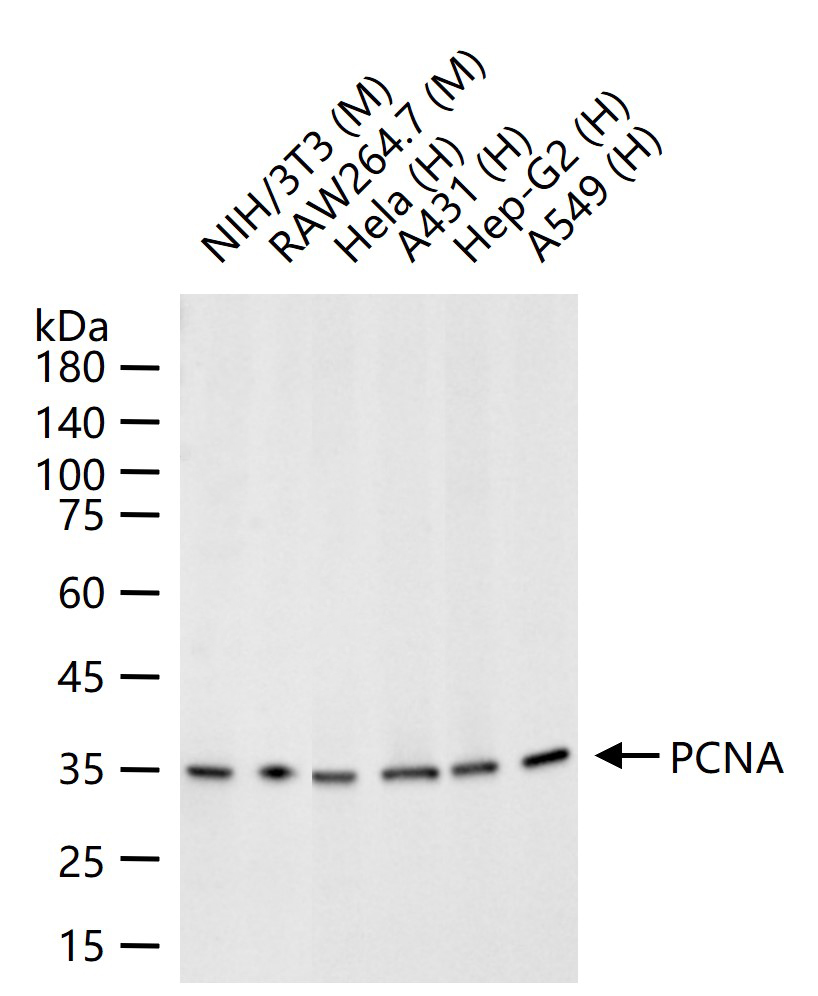 产品细节图片18