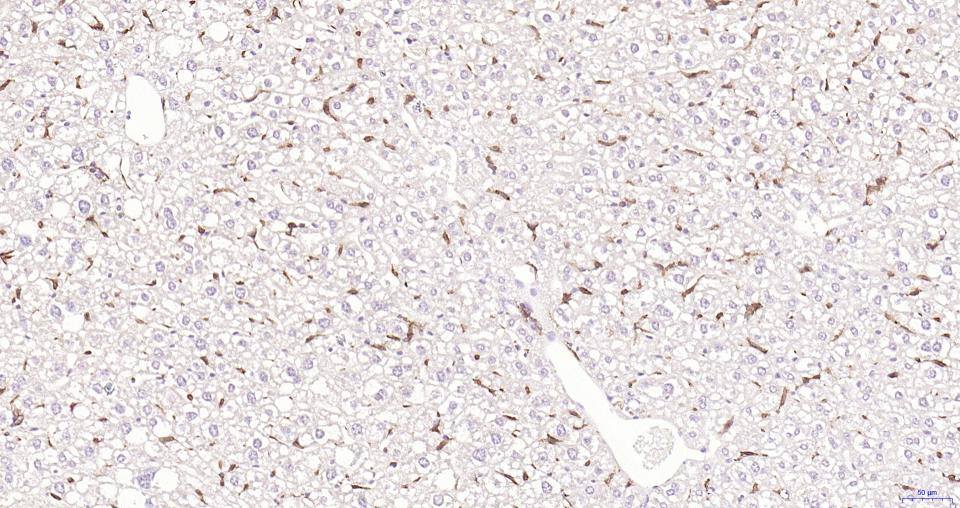 产品细节图片11