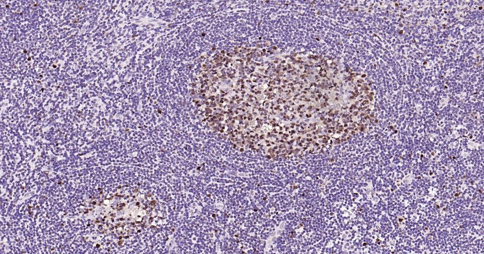 产品细节图片14