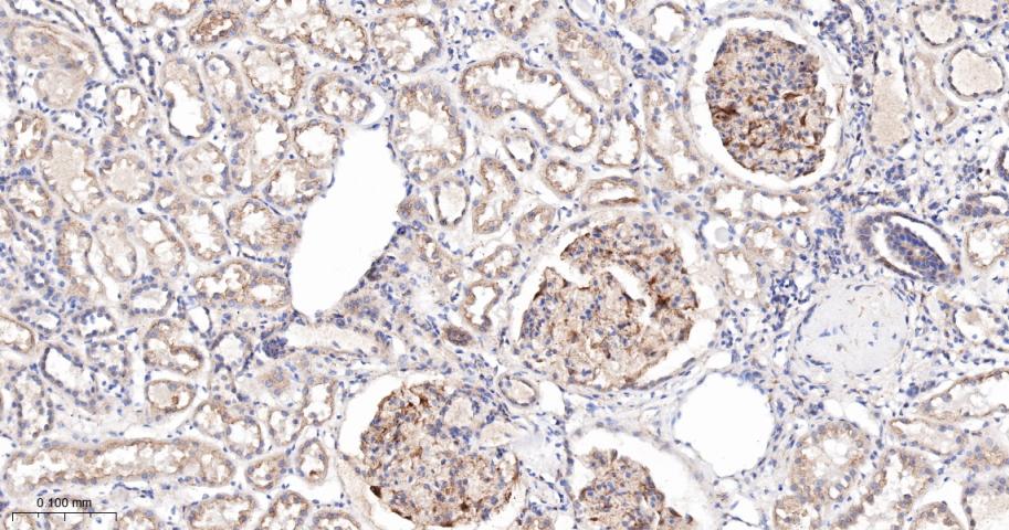 产品细节图片12