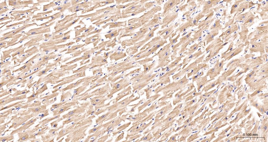 产品细节图片11