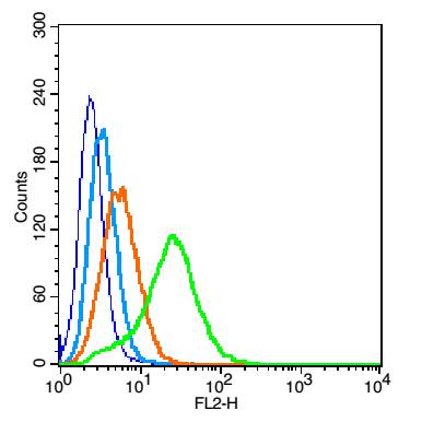 PAFR/PAF Receptor Rabbit pAb(b