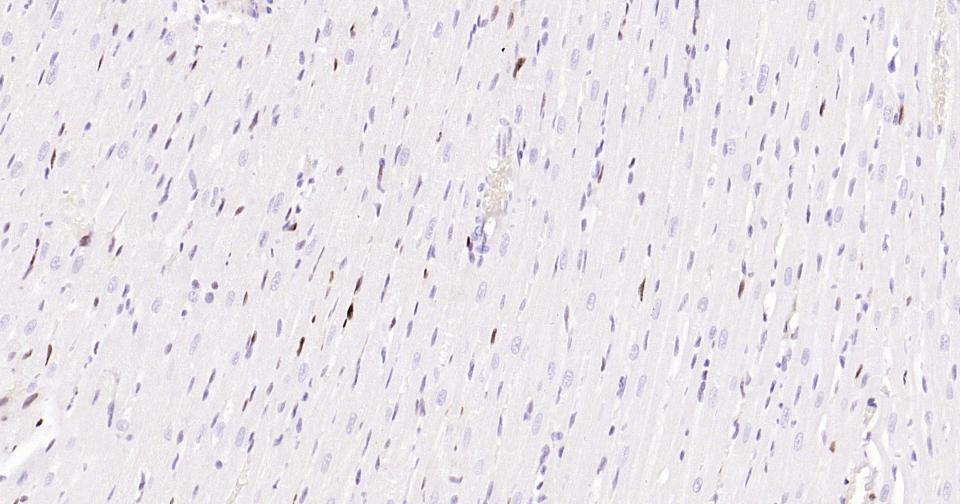 产品细节图片11