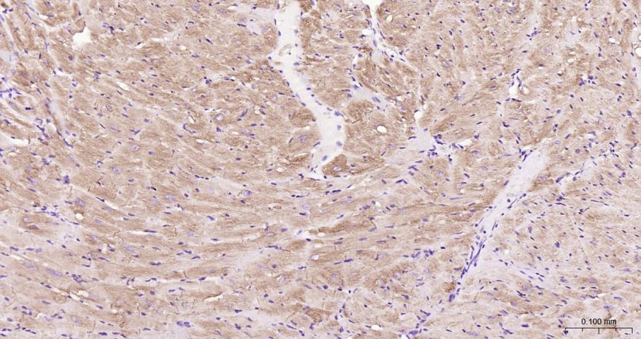 产品细节图片15