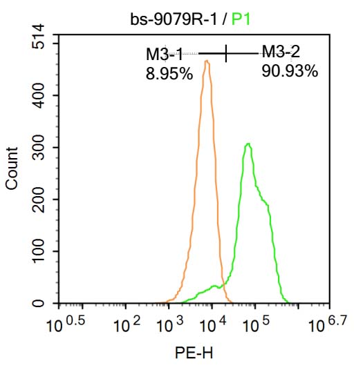 RGC32/C13orf15 Rabbit pAb(bs-9
