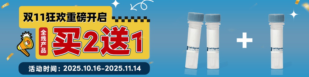 双11狂欢重磅开启，CST全线产品买二送一