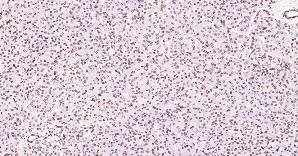 产品细节图片29