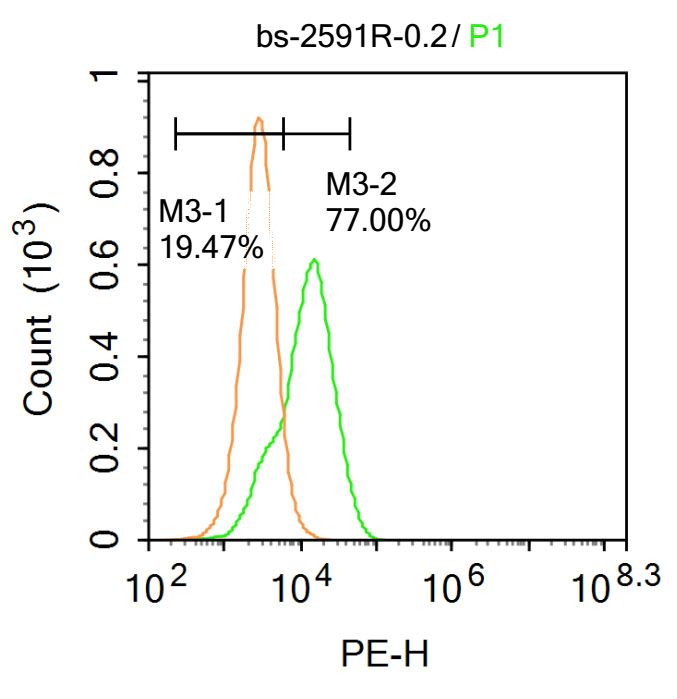 Fbx32 Rabbit pAb(bs-2591R)-50u