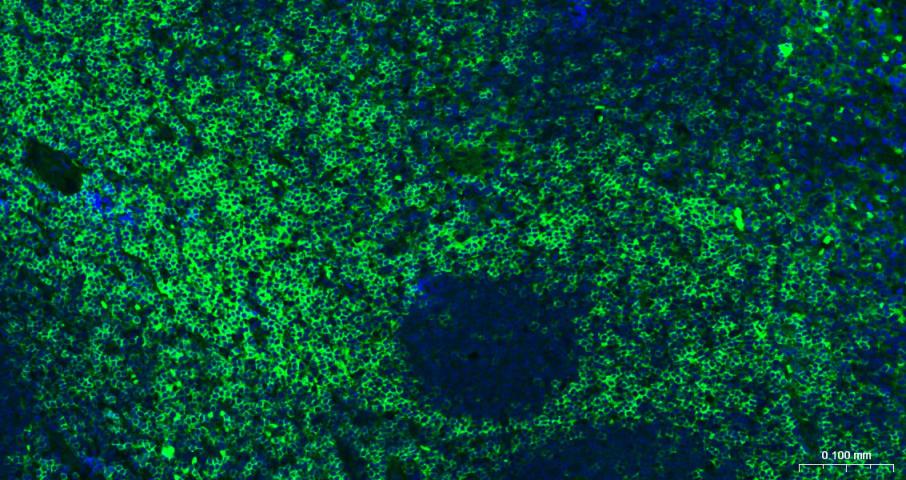产品细节图片11
