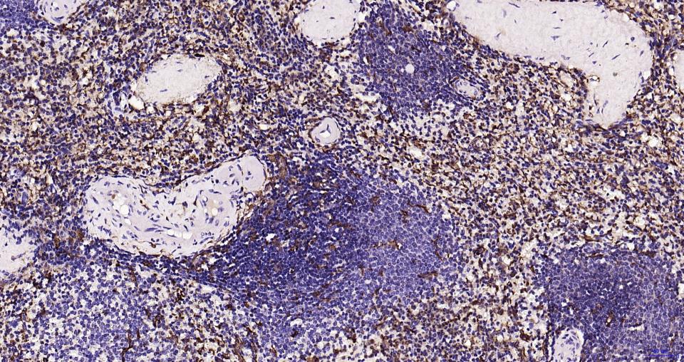 产品细节图片10