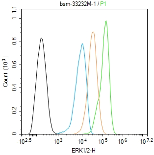 ERK1/2 Mouse mAb(bsm-33232M)-5