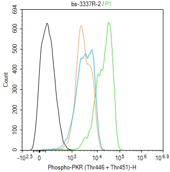 phospho-PKR (Thr446 + Thr451)