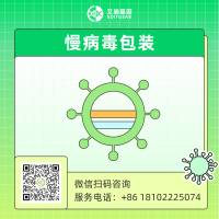 慢病毒(LV)包装服务(敲除慢病毒/过表达慢病毒/干扰慢病毒/文库病毒 )