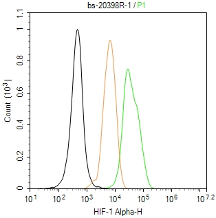 HIF-1 Alpha Rabbit pAb(bs-2039