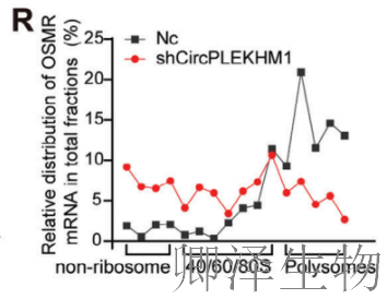 超越转录组，您的翻译组学研究最佳合作伙伴， 让核糖体的“工作实况”一目了然